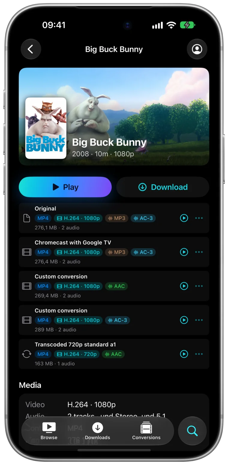 A film page on iPhone listing the original file and a copy made for Chromecast with Google TV