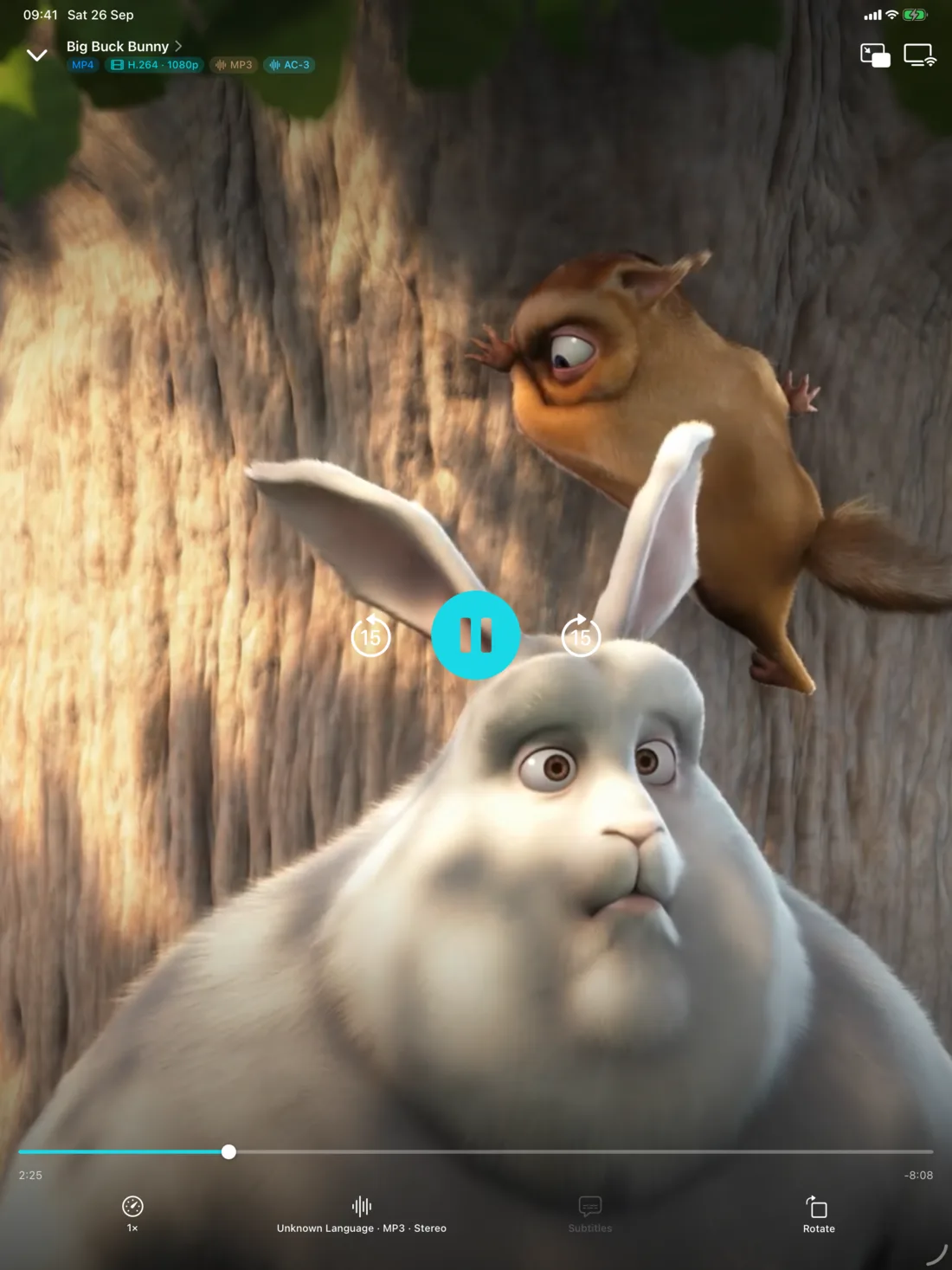 Portage on an iPad playing a film, with the title, tracks and controls showing