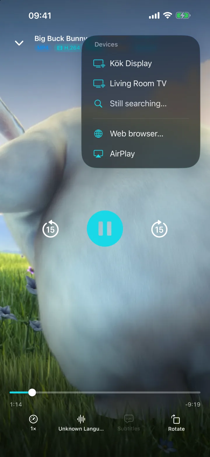 Portage on iPhone during playback with the cast menu open, listing two TVs, a web browser and AirPlay