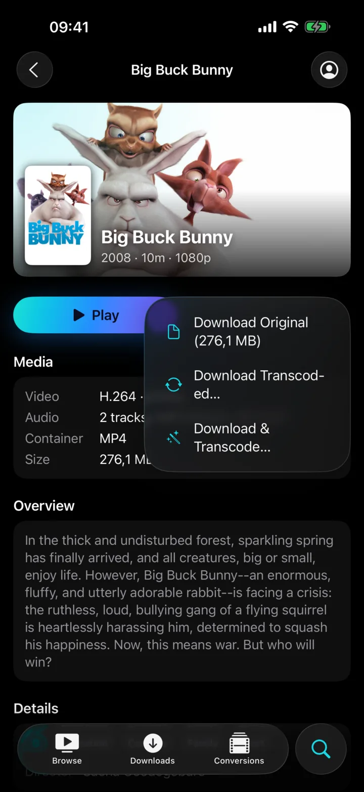 A movie page on iPhone with the download menu open